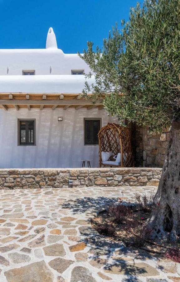 Mykonos Ag Villas In Ftelia Beach المظهر الخارجي الصورة